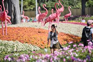 BIB: 
                            <button type="button" onclick="openModal(27793225)" class="btn btn-primary btn-sm float-right btn-popup" data-toggle="modal" data-target=".modal-high-quality">
                        <i class="fas fa-shopping-cart"></i> Add to Cart
                    </button>
                                            <button type="button" onclick="isThisMe(27793225, true)" class="btn btn-success btn-sm float-right btn-popup btn-isme hidden" data-toggle="tooltip" data-placement="bottom" title="นี่คือรูปของคุณใช่ไหม คลิกที่นี่เพื่อเอาเข้าอัลบั้ม">
                        <i class="fas fa-plus"></i> Add to album
                    </button>
                    <button type="button" onclick="isThisMe(27793225, false)" class="btn btn-warning btn-sm float-right btn-popup btn-isnotme hidden">
                        <i class="fas fa-ban"></i> Remove from album
                    </button>